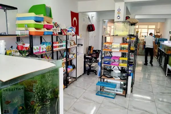 Hyreaqua Akvaryum ve Pet Market - Resim 4