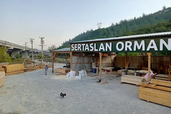 SERTASLAN ORMAN ÜRÜNLERİ - Resim 5