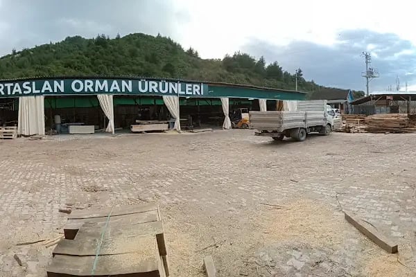 SERTASLAN ORMAN ÜRÜNLERİ - Resim 10