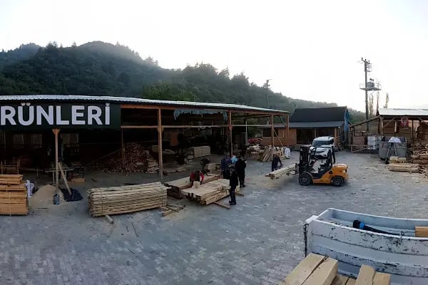 SERTASLAN ORMAN ÜRÜNLERİ - Resim 3