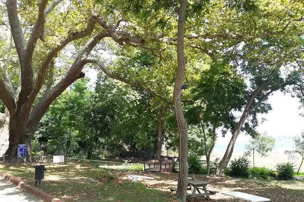 Altınkum Plajı - Resim 14