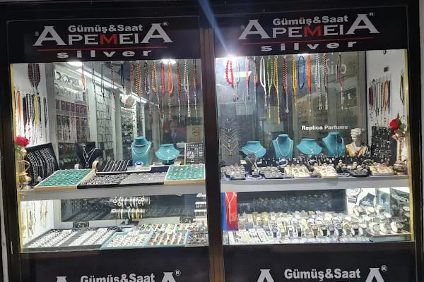 Apemeia Gümüş Saat - Resim 3