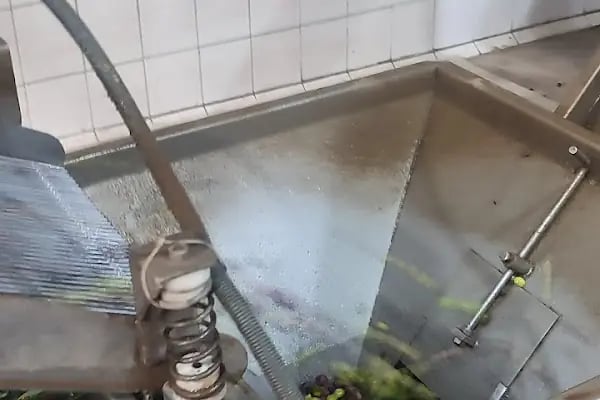 Altınvadi Zeytinyağı Fabr. - Resim 3