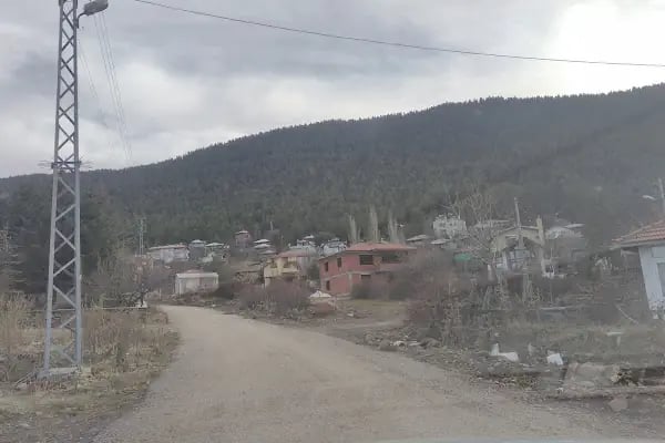 Yeşilçam Dağ Evleri - Resim 5