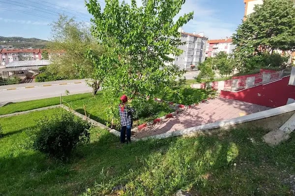 Davut pide ve lahmacun salonu - Resim 10