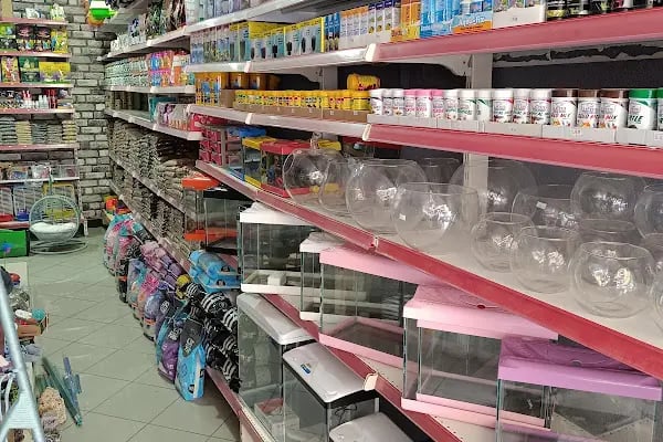 GÜLER PETSHOP - Resim 14