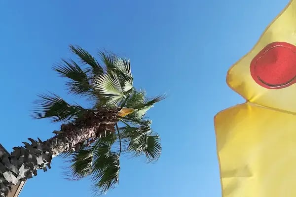Dejavu Beach - Resim 15