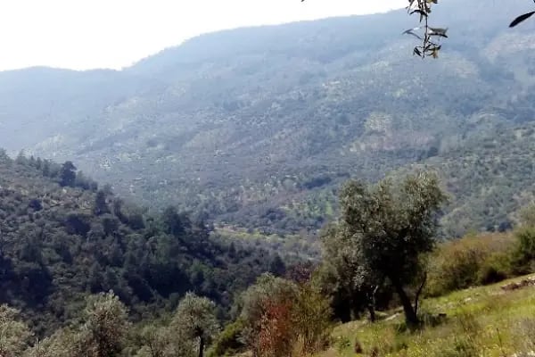 Tatali Çeşmesi - Resim 17