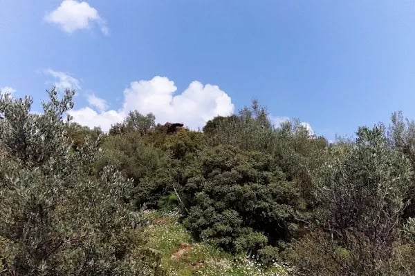 Tatali Çeşmesi - Resim 11