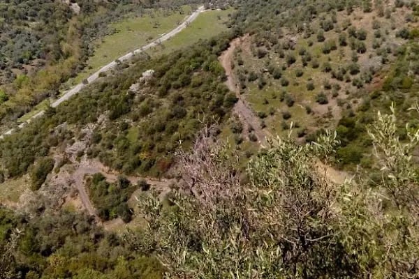 Tatali Çeşmesi - Resim 14