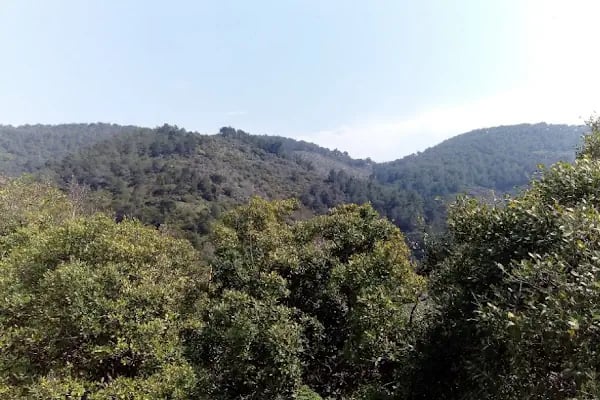Tatali Çeşmesi - Resim 18