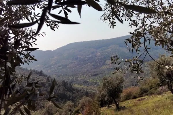 Tatali Çeşmesi - Resim 20
