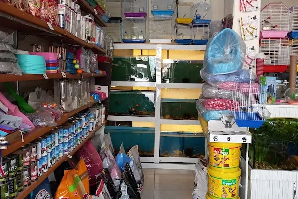 Masal HOBİ EVi - Petshop, Hediyelik Eşya, Takı ve Aksesuar - Resim 14