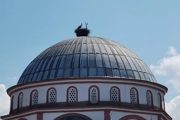 Başiskele Cami - Resim 4