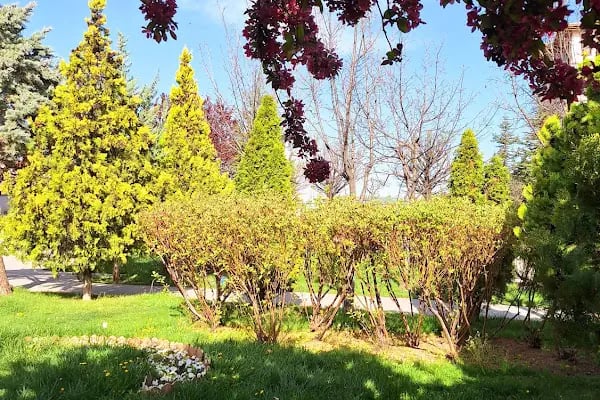 Akyurt Kültür Parkı - Resim 13