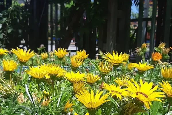 Akyurt Kültür Parkı - Resim 10