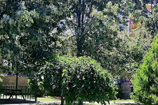 Akyurt Kültür Parkı - Resim 8
