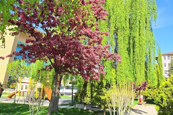 Akyurt Kültür Parkı - Resim 20