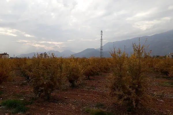 Akdeniz Akkent Sitesi - Resim 18