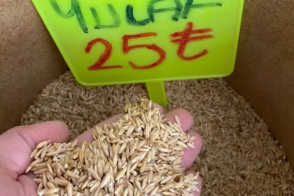CZ YEM DÜNYASI - ARI MALZEMELERİ - Resim 13