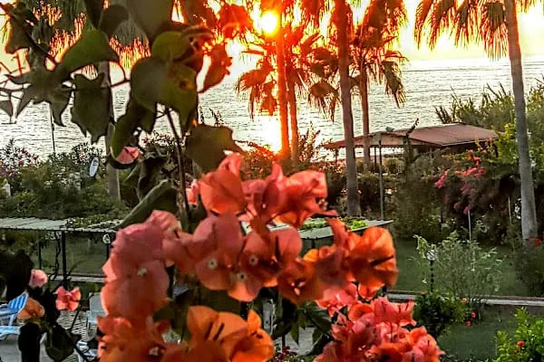Alaca Tatil Sitesi - Resim 8