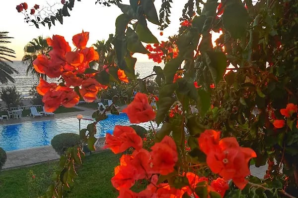 Alaca Tatil Sitesi - Resim 15