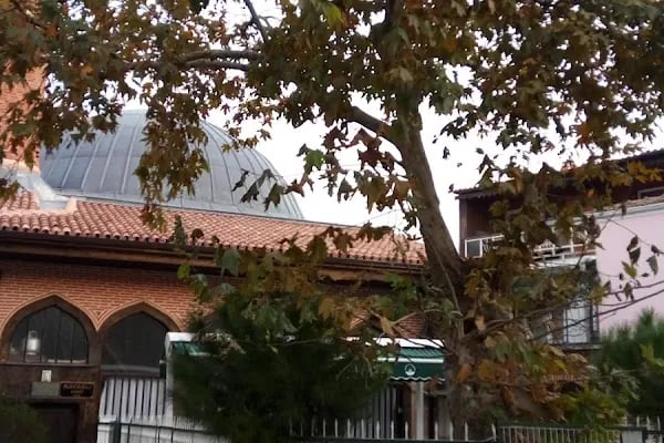 Kavaklı Cami - Resim 12