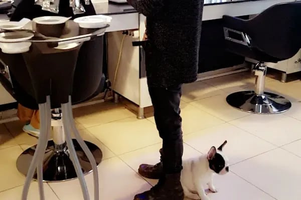 Alkan Hairdressing ( Alkan Bayan Kuaförü ) - Resim 20