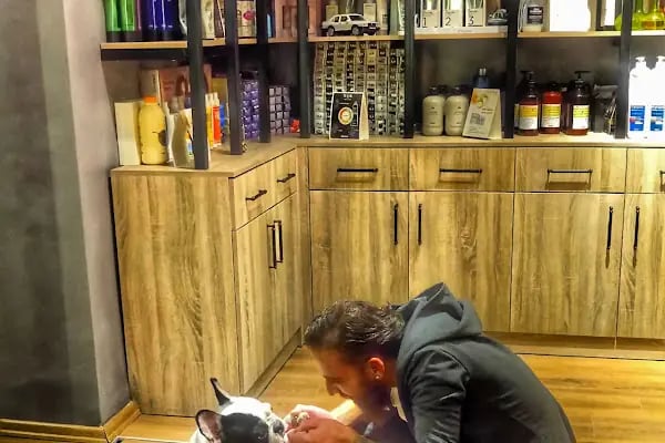 Alkan Hairdressing ( Alkan Bayan Kuaförü ) - Resim 15