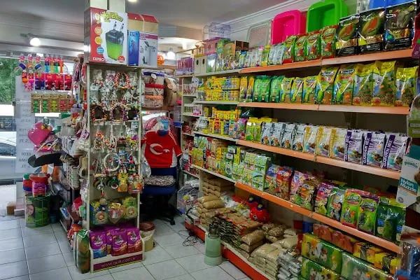GÜLSE PETSHOP - Resim 2