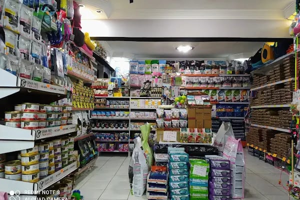 GÜLSE PETSHOP - Resim 4