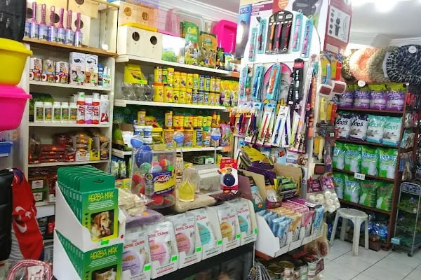 GÜLSE PETSHOP - Resim 6