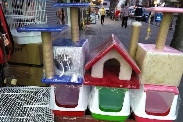 GÜLSE PETSHOP - Resim 15