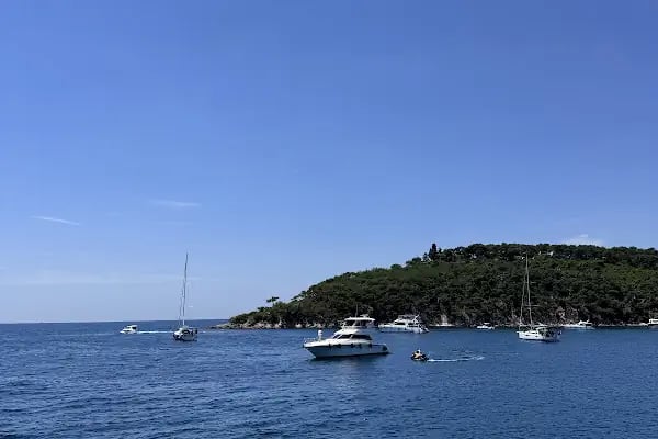 Çam Limanı - Resim 4