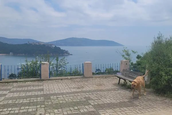 Çam Limanı - Resim 16