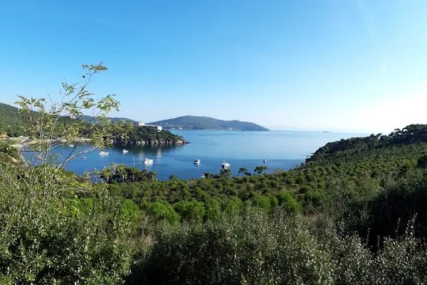 Çam Limanı - Resim 2