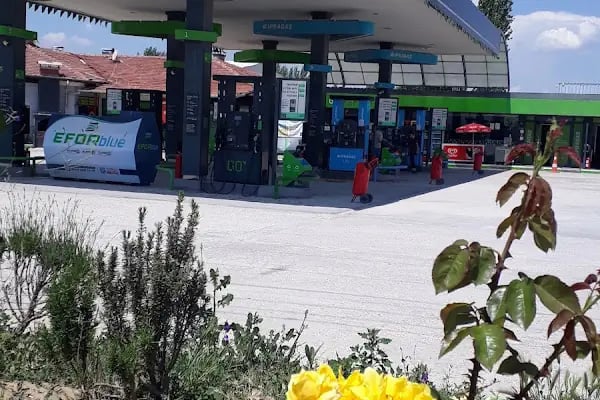 Asya perakende GO ipragaz - Resim 7