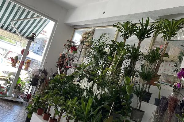 Dalaman Almi Organizasyon &amp; Çiçek Evi - Resim 2