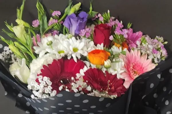 Dalaman Almi Organizasyon &amp; Çiçek Evi - Resim 5