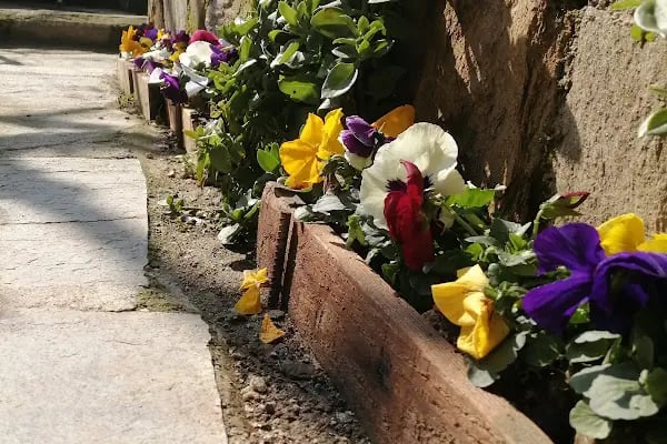 Kaplan Nirvana Pansiyon/Otel Tire İzmir - Resim 14