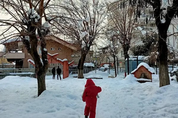 Göz Parkı - Resim 9