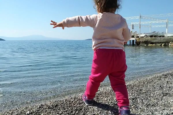 Bodrum Spor Kulübü Yelken Şubesi - Resim 5