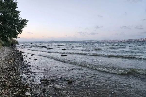 PAŞAELİ KENT PARKI - Resim 15