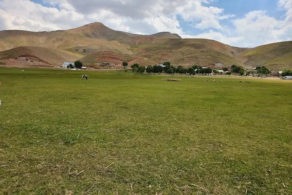 Prima Villaları - Resim 17