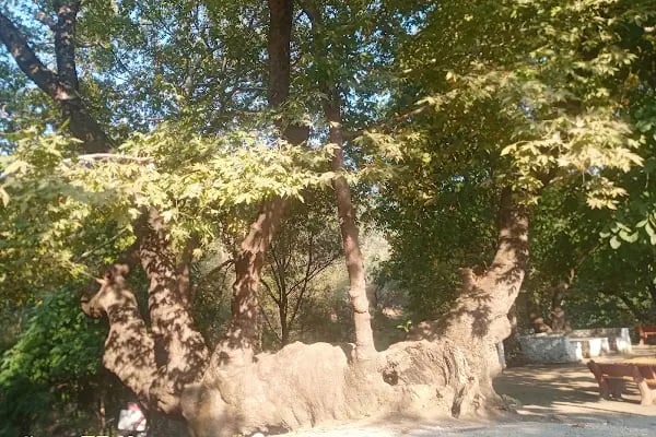 Şahindere Kanyonu - Resim 12