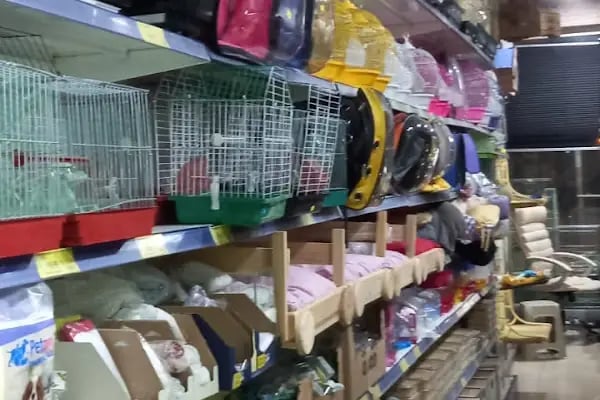 PETSHOP DÜNYASI - Resim 20
