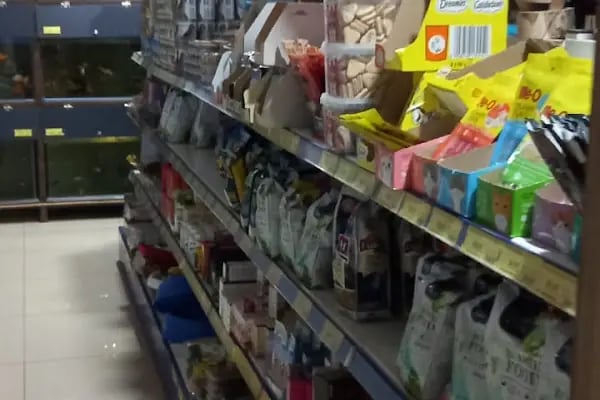 PETSHOP DÜNYASI - Resim 4