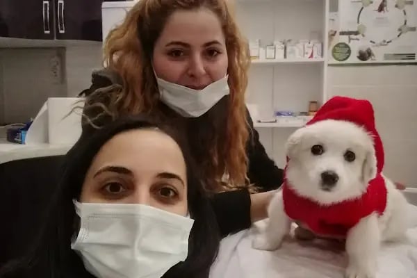 Terapi Veteriner Kliniği - Resim 4