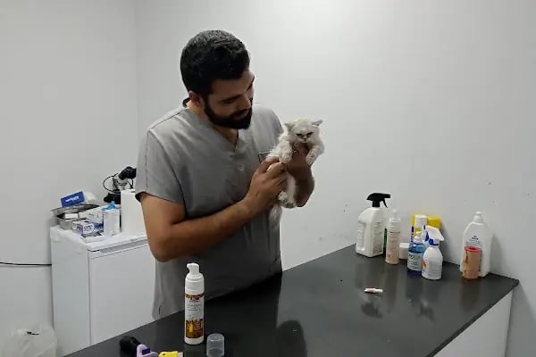 Pet World Veteriner Kliniği - Resim 4
