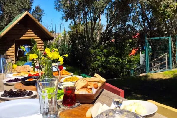 Jasmin Elite Residence &amp; Spa - Resim 12